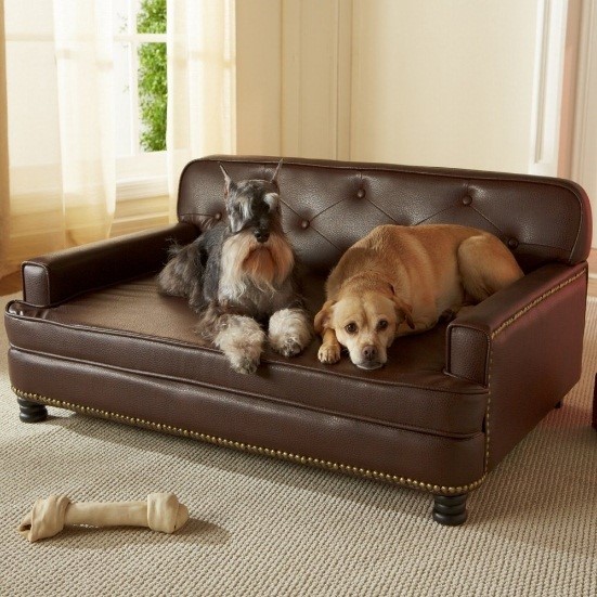 Best Leather Dog Bed Achieve Beauty With No Pain Doggiebreeds Com